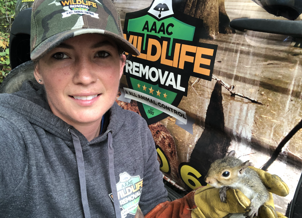 Wildlife Removal Carolina | Pest Animal Control