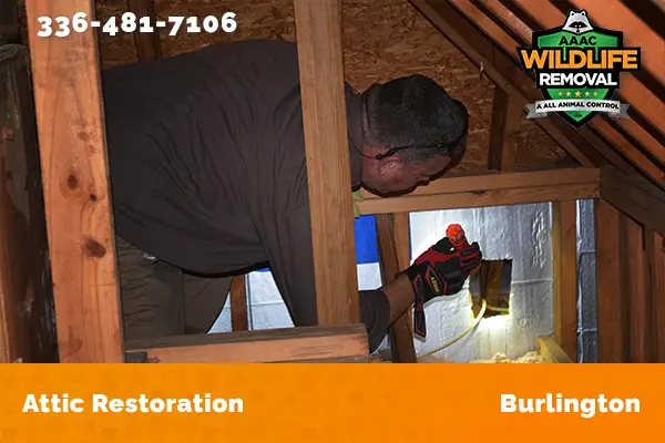 Attic Restoration Burlington