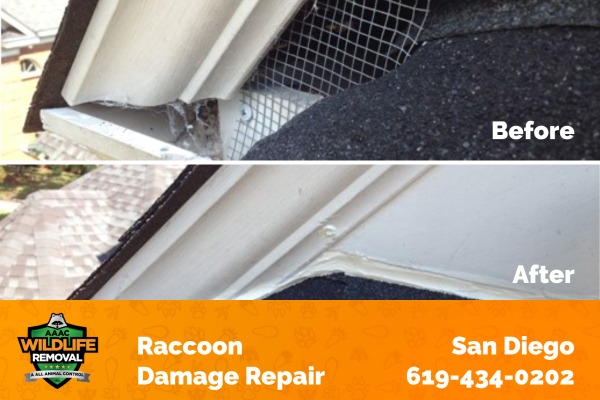 Raccoon Damage Repair Before and After