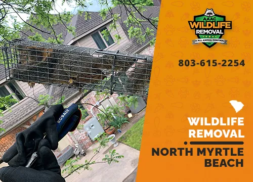 Myrtle Beach Wildlife Trapping and Removal - Raccoon, Squirrel, Bat Control in South Carolina