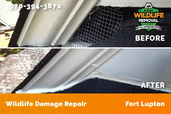 Damage Repair Fort Lupton