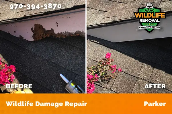 Damage Repair Parker