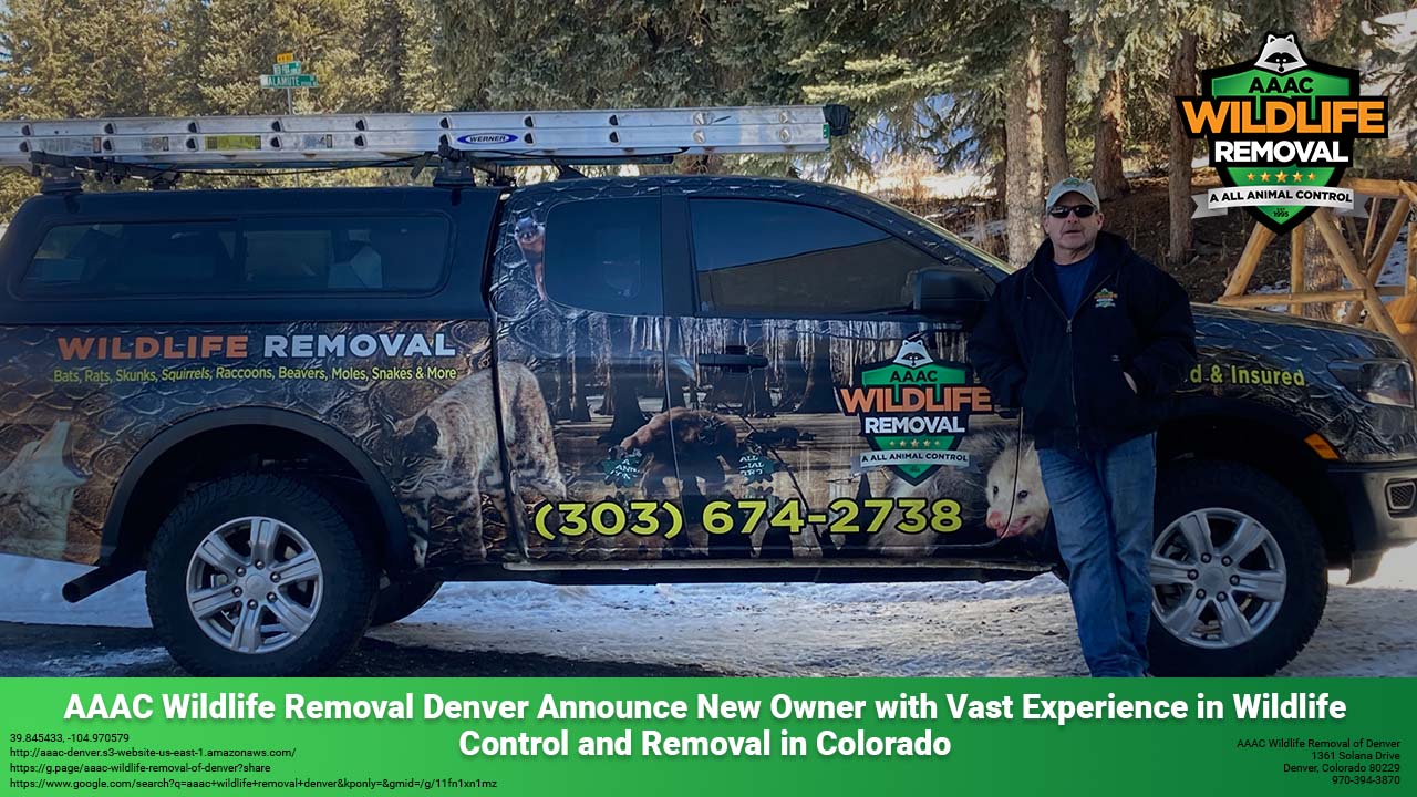 Aaac Wildlife Removal Reviewsnull