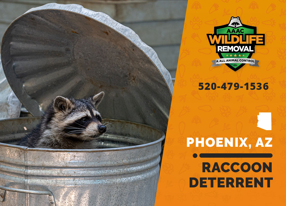 Raccoon Deterrents AAAC Wildlife Removal of Phoenix