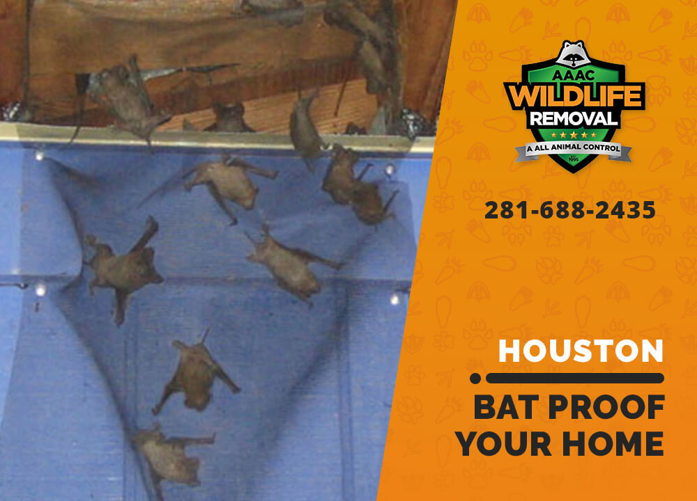 Bat Proof Your Home AAAC Wildlife Removal of Houston