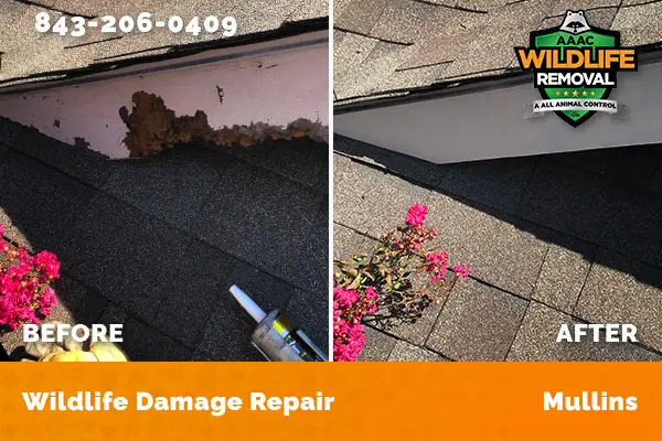 Damage Repair Mullins
