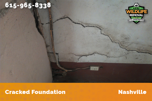 Cracked foundation in Nashville