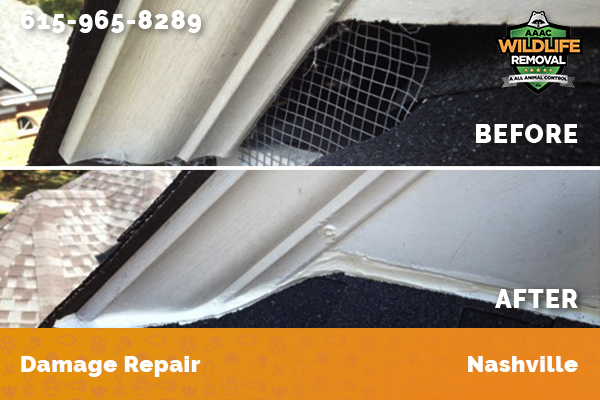 roof damage before and after in Nashville