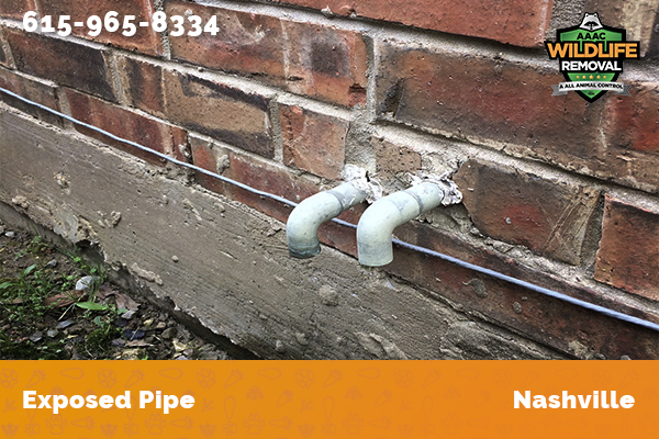 Exposed pipe in Nashville