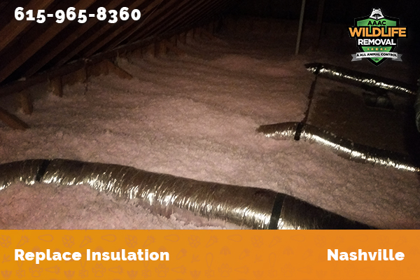 Fresh insulation blown into an attic in Nashville