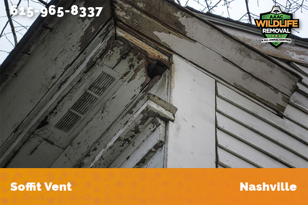 picture of a soffit vent in Nashville